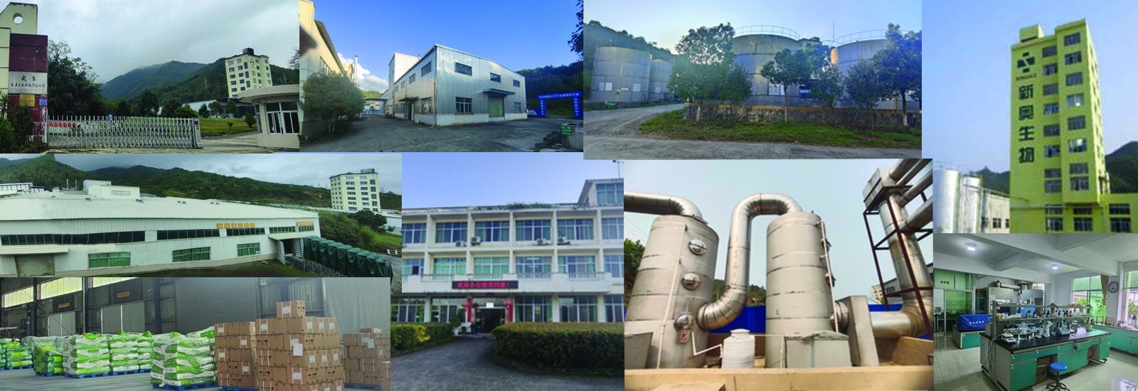 Butirato curto dos ácidos gordos da corrente