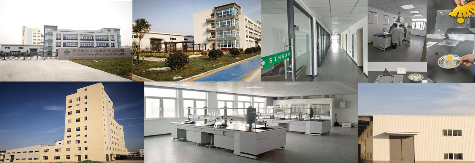 Butirato revestido do sódio