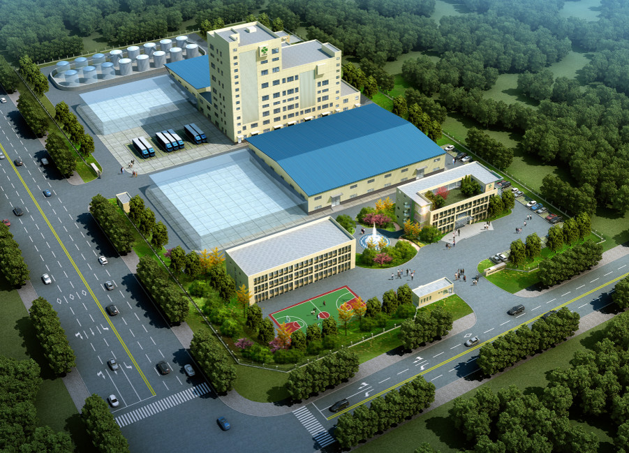 Singao (Xiamen) Agribusiness Development Co., Ltd. linha de produção da fábrica