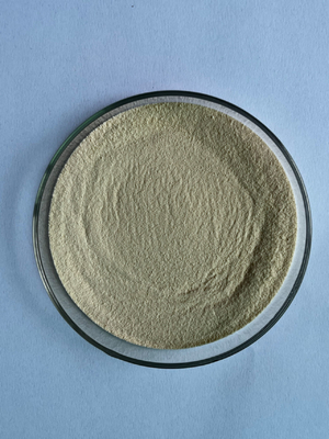 53% Gordura microencapsulada rica em DHA