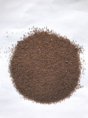 Probiótico Clostridium butyricum