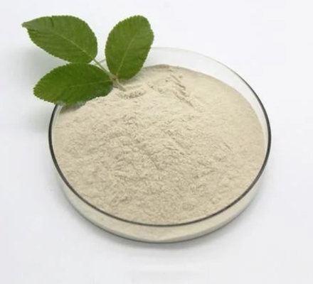 O butirato do sódio do bacillus-subtilis 90% C4H7O2Na pulveriza CAS 156-54-7