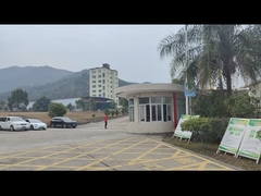 FÁBRICA DE SINGAO LONGYAN